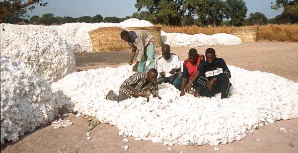 27_Vies spiritaines-Coton.jpg